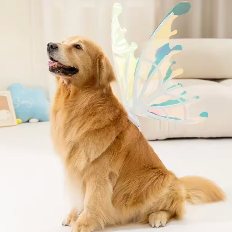 Electric Butterfly Wings for Dogs